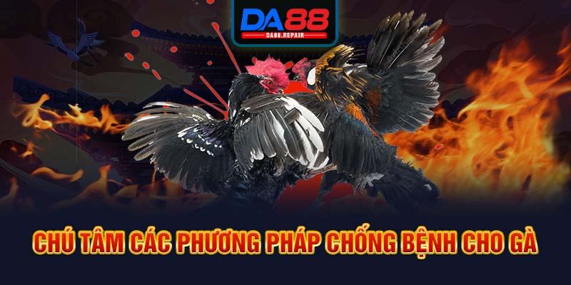 Chú tâm các phương pháp chống bệnh cho gà