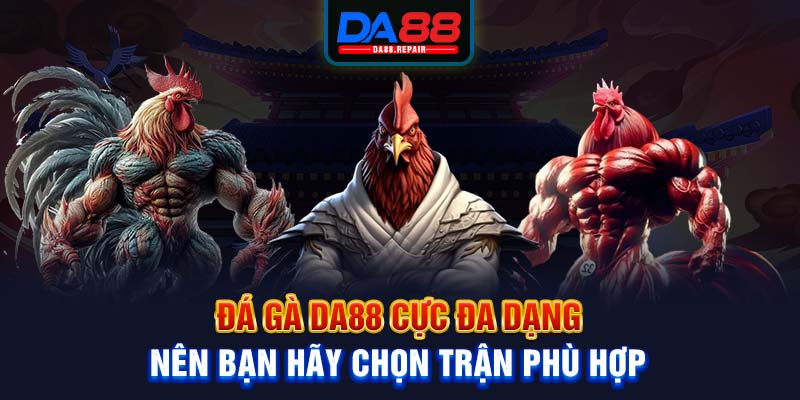 Đá gà Da88 cực đa dạng nên bạn hãy chọn trận phù hợp