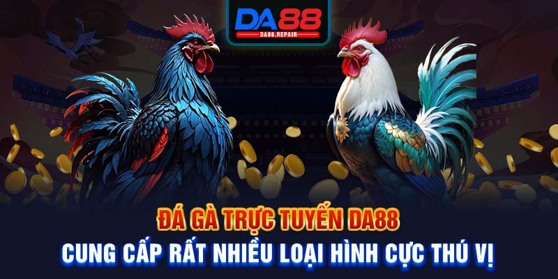 Đá gà trực tuyến Da88 cung cấp rất nhiều loại hình cực thú vị