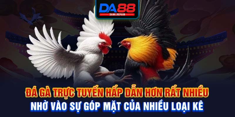 Đá gà trực tuyến hấp dẫn hơn rất nhiều nhờ vào sự góp mặt của nhiều loại kê